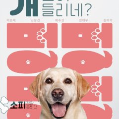 Dog Knows Everything Korean Drama photo