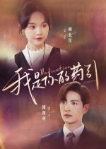 Medication Citation Chinese Drama photo