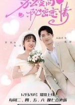 Ban Gong Shi De Mi Mi Lian Qing Chinese Drama photo