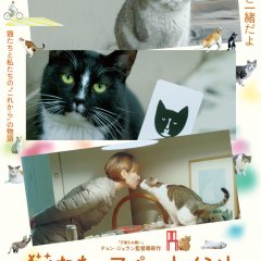 Cat's Apartment Korean Movie photo