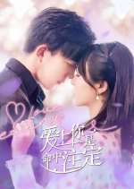 Love Destiny Chinese Drama photo