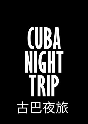 Cuba Night Trip (2024) poster