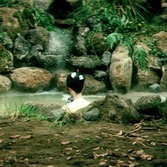 Watch Out Crimson Bat Japanese Movie photo