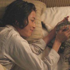 Guu Guu, the Cat Japanese Drama(2014) photo