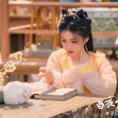 O Sol na Escuridão Chinese Drama(2025) photo