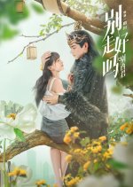 Bie Zou Hao Ma Bie Xi Jun Chinese Drama photo