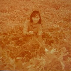 Confession Japanese Movie(1968) photo