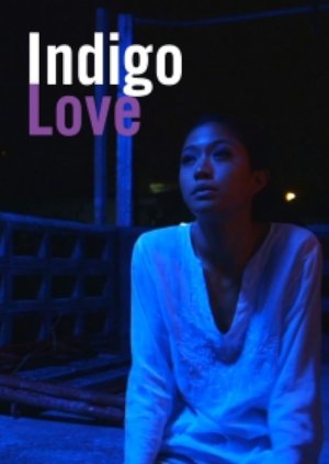 Indigo Love (2013) poster