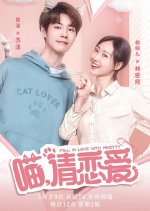 Fall in Love with Mr. Kitty Chinese Drama photo