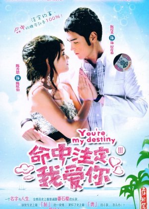 Fated to Love You (2008) poster