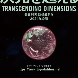 Transcending Dimensions (2024)