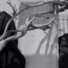 A Day Off Korean Movie(1968) photo