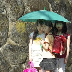 Your Friends Japanese Movie photo