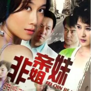 Fei Qin Jie Mei (2010)