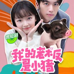 My Piggy Boss Chinese Drama photo