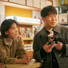 Dog Days Korean Movie photo