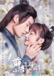 The Journey chinese drama review
