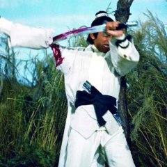 The New One-Armed Swordsman Hong Kong Movie photo