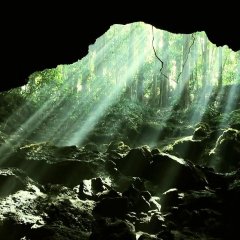 Limit Japanese Drama photo