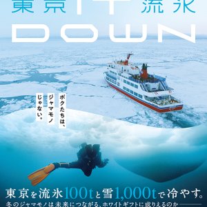 Tokyo Drift Ice: Cool It Down (2022)