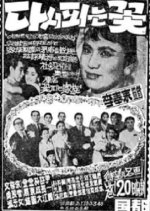 A Rebloomed Flower Korean Movie photo