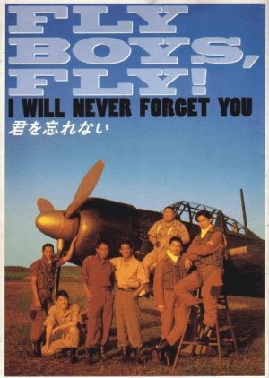 Fly Boys, Fly! (1995) poster