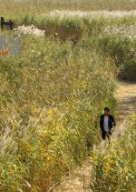 Drama Special Season 3: Spoonbill Flies Korean Drama photo