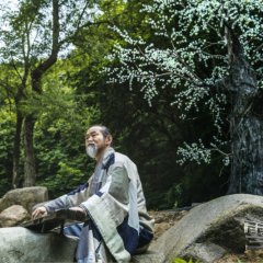 The Snow Queen Chinese Drama(2018) photo