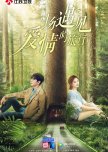 A Journey to Meet Love chinese drama review