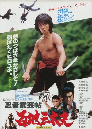 Shogun's Ninja (1980) poster