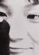 Memory of the Wind Japanese Movie photo