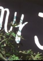 My J-W-F Japanese Movie photo