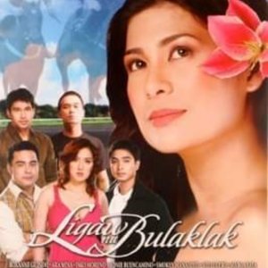 Ligaw na Bulaklak (2008)