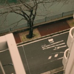 Kekkon Japanese Movie(2017) photo