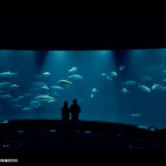 Strangers Japanese Movie(2022) photo