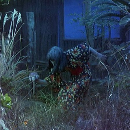 Grass Labyrinth (1979)