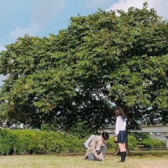 Promise Cinderella Japanese Drama photo
