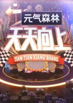 Day Day Up (2008) photo