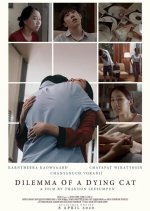 Dilemma Of A Dying Cat Thai Movie photo