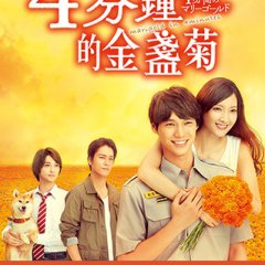 4-punkan no Marigold Japanese Drama photo