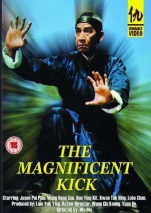 The Magnificent Kick (1980) poster