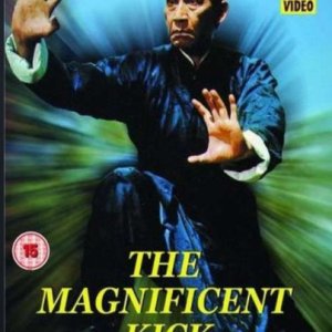 The Magnificent Kick (1980)