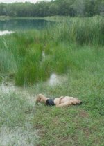 Not a Time to Celebrate Thai Movie photo