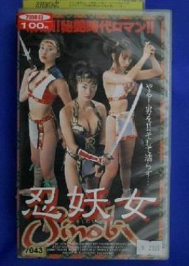 Shinobi (1999) poster