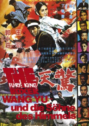 The Fury of King Boxer (1972) poster