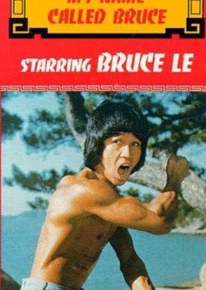 My Name Called Bruce (1978) poster