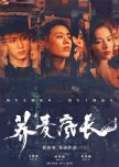 Wild Grass chinese drama review