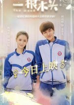 The Wood Season 2 Chinese Drama photo