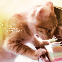 In Case of Love Taiwanese Movie photo