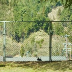 The Woodsman and the Rain Japanese Movie photo